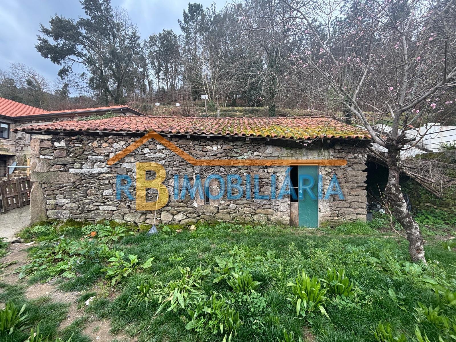 WhatsApp Image 2026-03-02 at 12.38.56