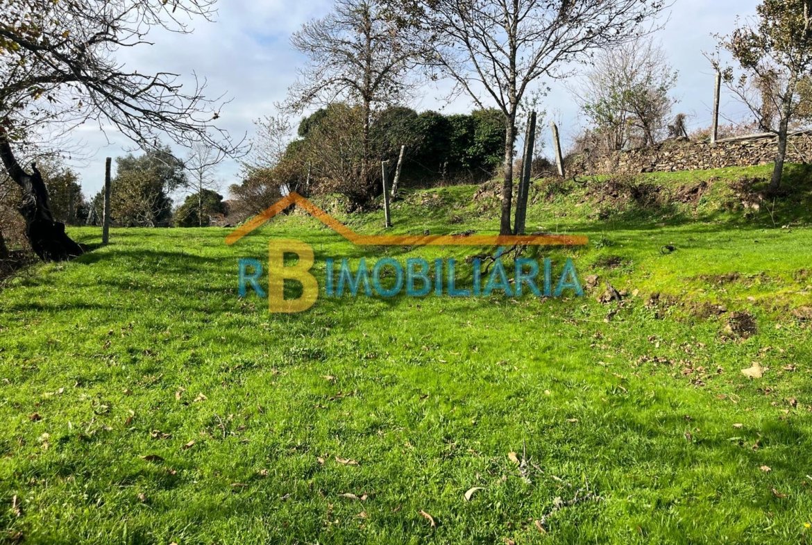 Quinta “Casa de Afonso” em Várzeas – Alvarenga