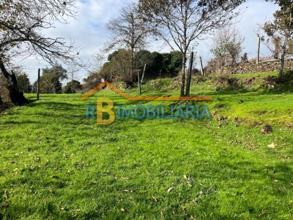 Quinta “Casa de Afonso” em Várzeas – Alvarenga