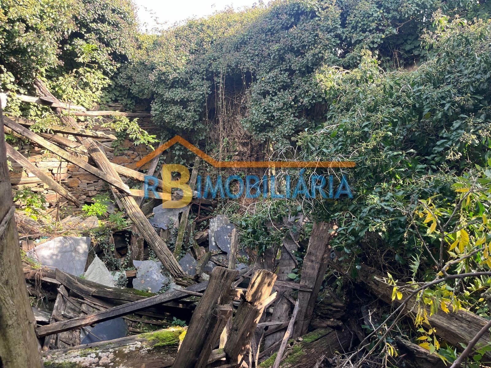 Quinta “Casa de Afonso” em Várzeas – Alvarenga