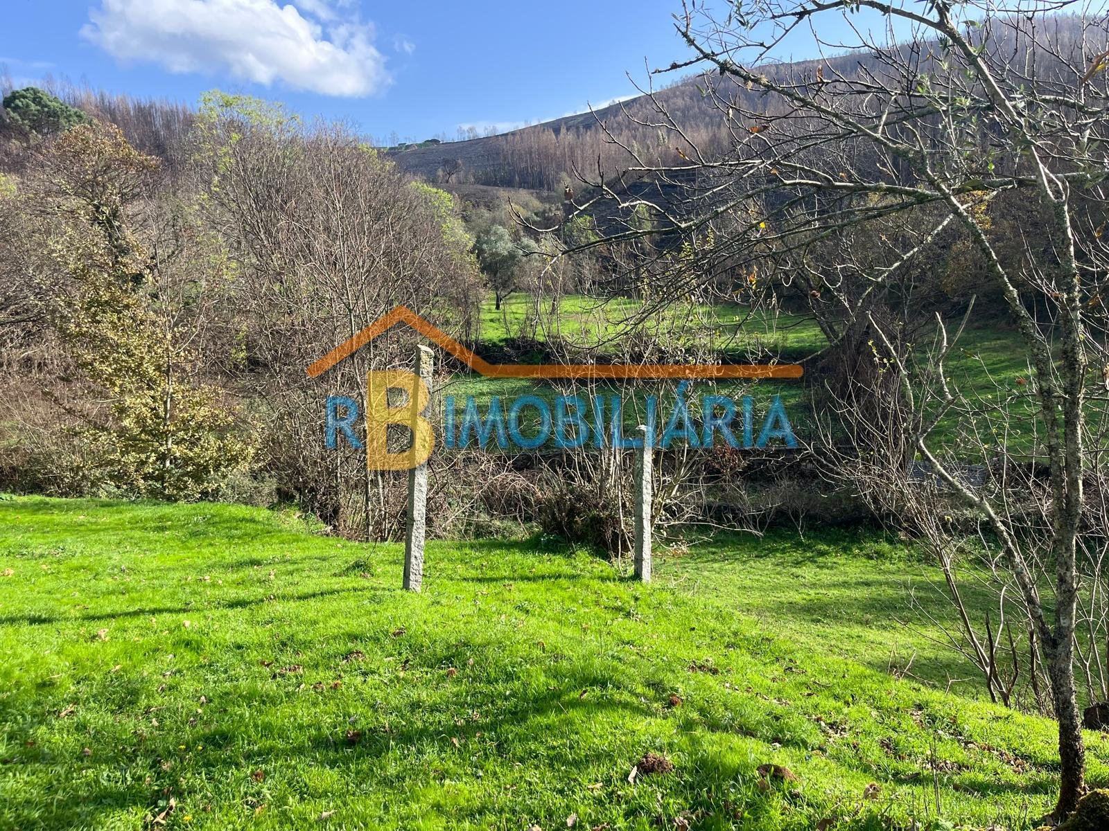 Quinta “Casa de Afonso” em Várzeas – Alvarenga