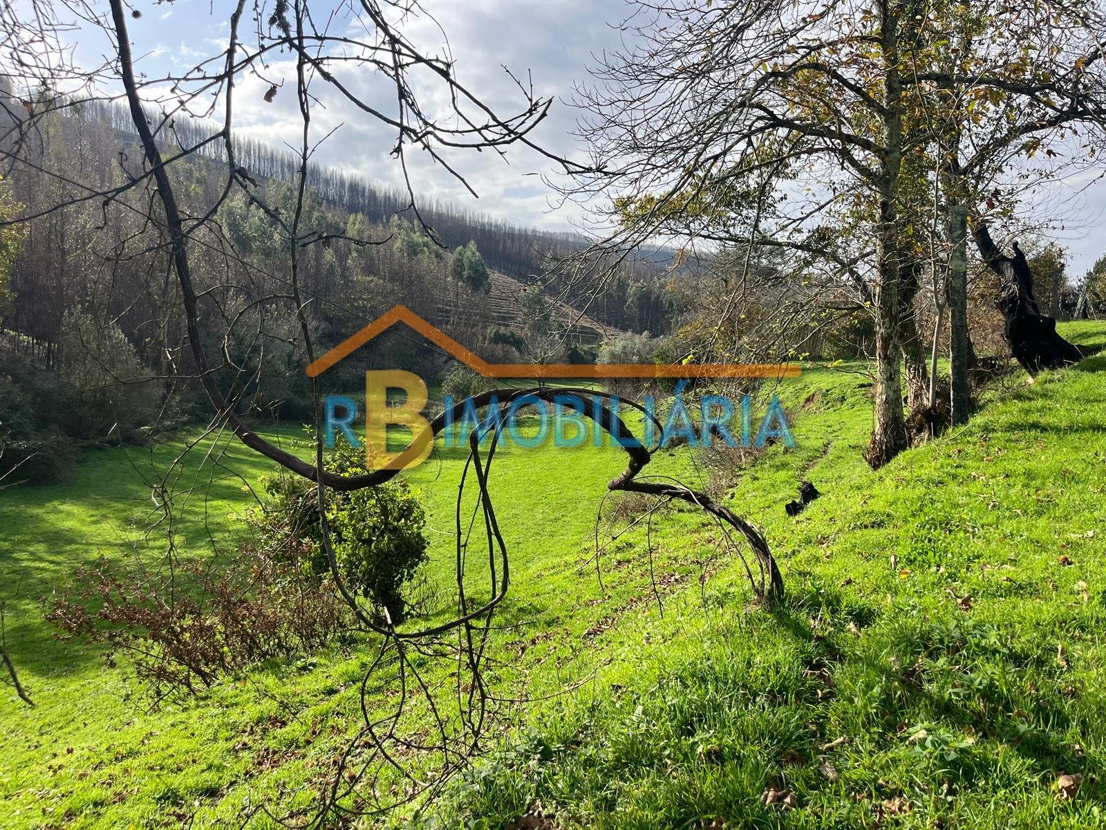 Quinta “Casa de Afonso” em Várzeas – Alvarenga