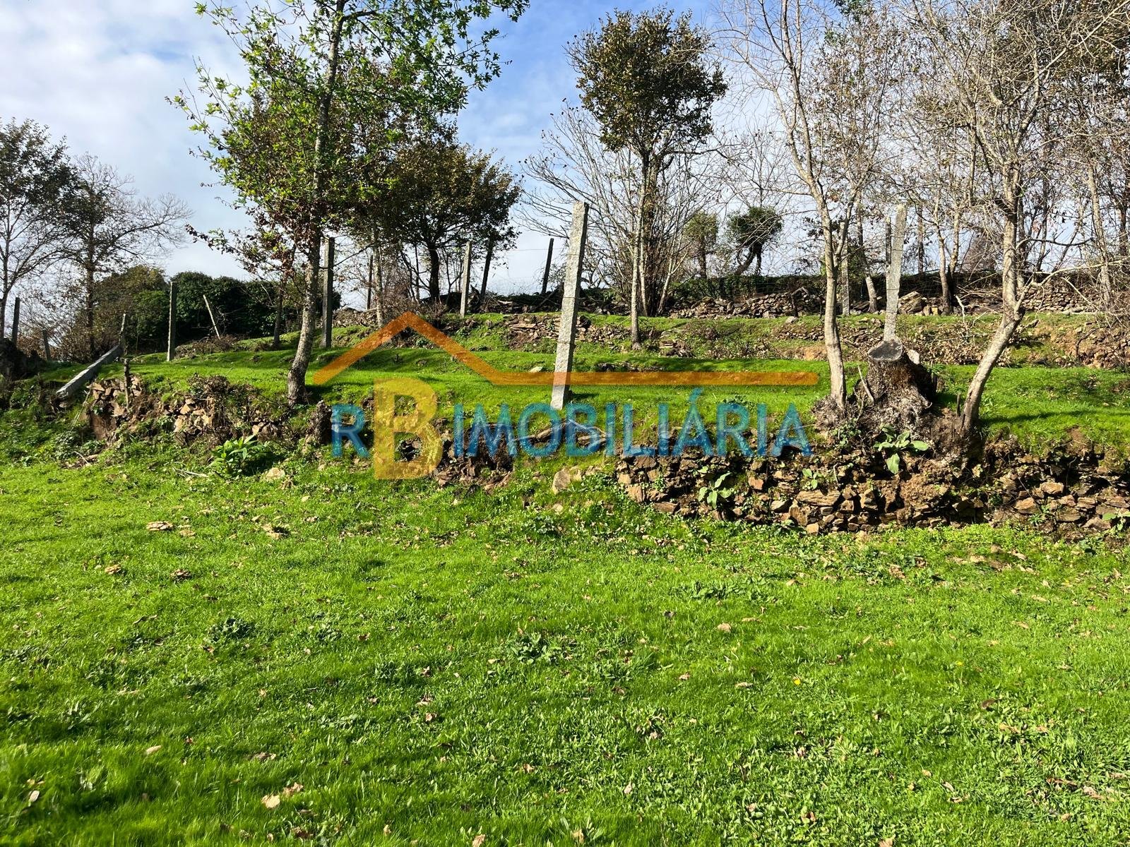 Quinta “Casa de Afonso” em Várzeas – Alvarenga