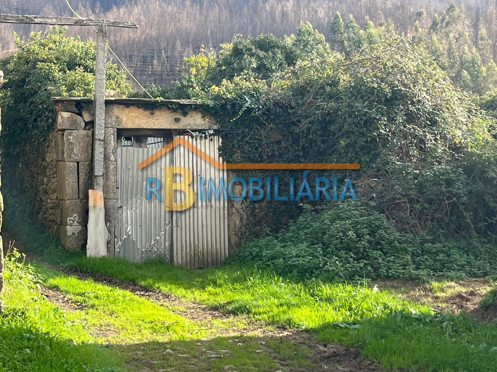 Quinta “Casa de Afonso” em Várzeas – Alvarenga