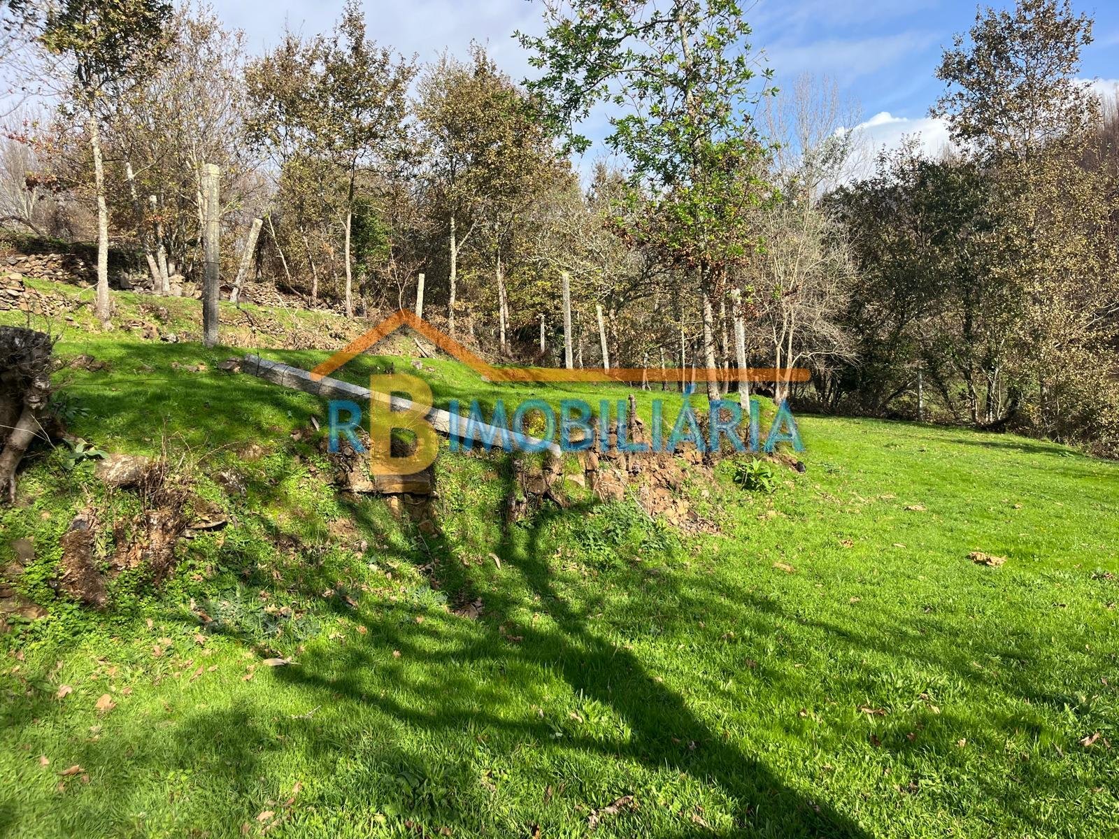 Quinta “Casa de Afonso” em Várzeas – Alvarenga