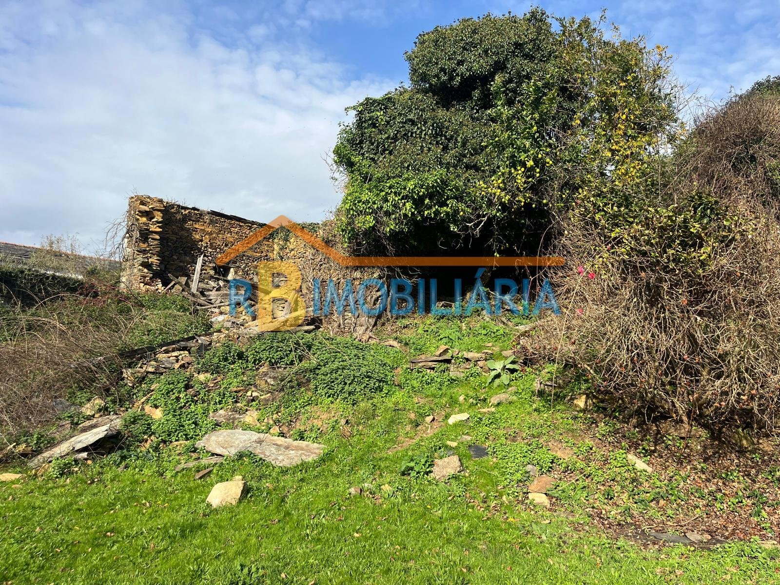 Quinta “Casa de Afonso” em Várzeas – Alvarenga