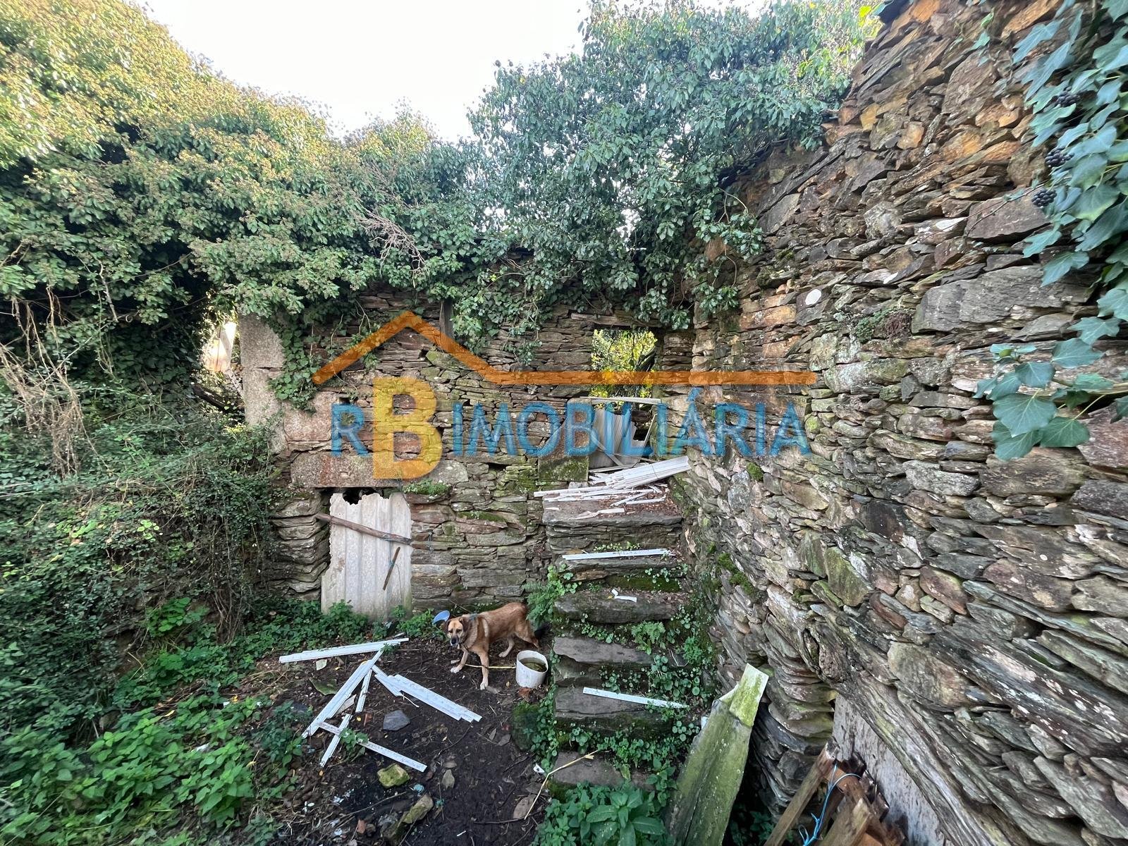 Quinta “Casa de Afonso” em Várzeas – Alvarenga