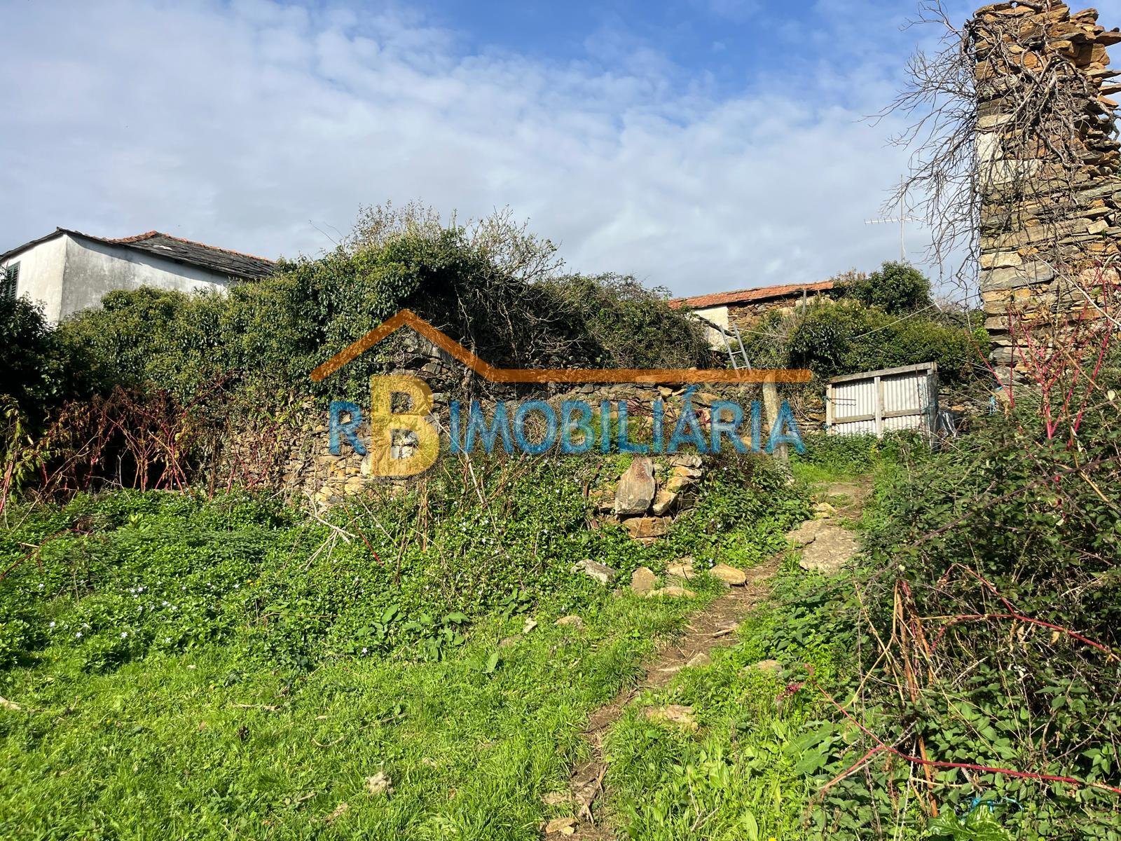 Quinta “Casa de Afonso” em Várzeas – Alvarenga