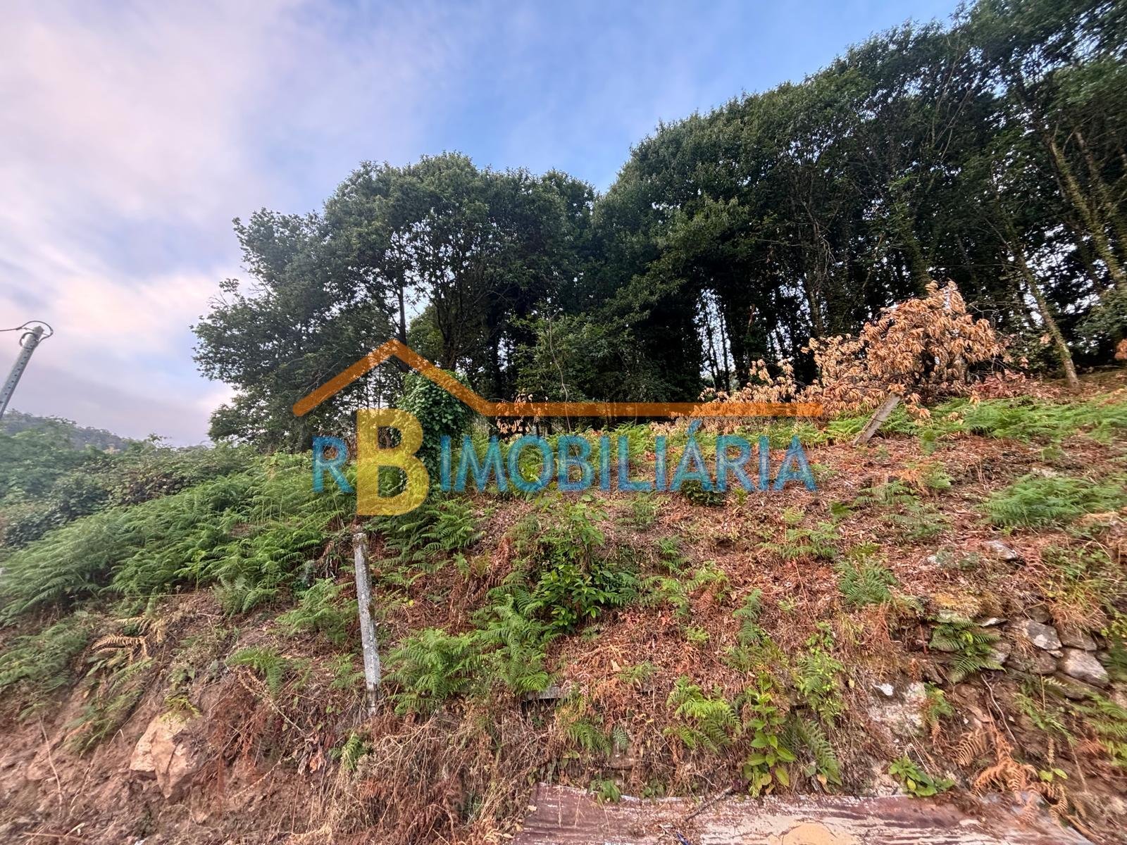 Quinta da Lomba – Rossas, Arouca