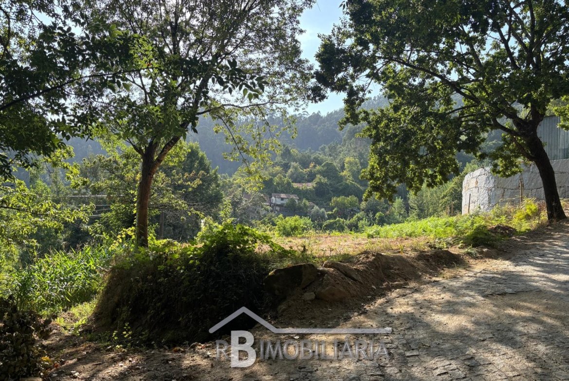 Terreno em Rossas – Arouca
