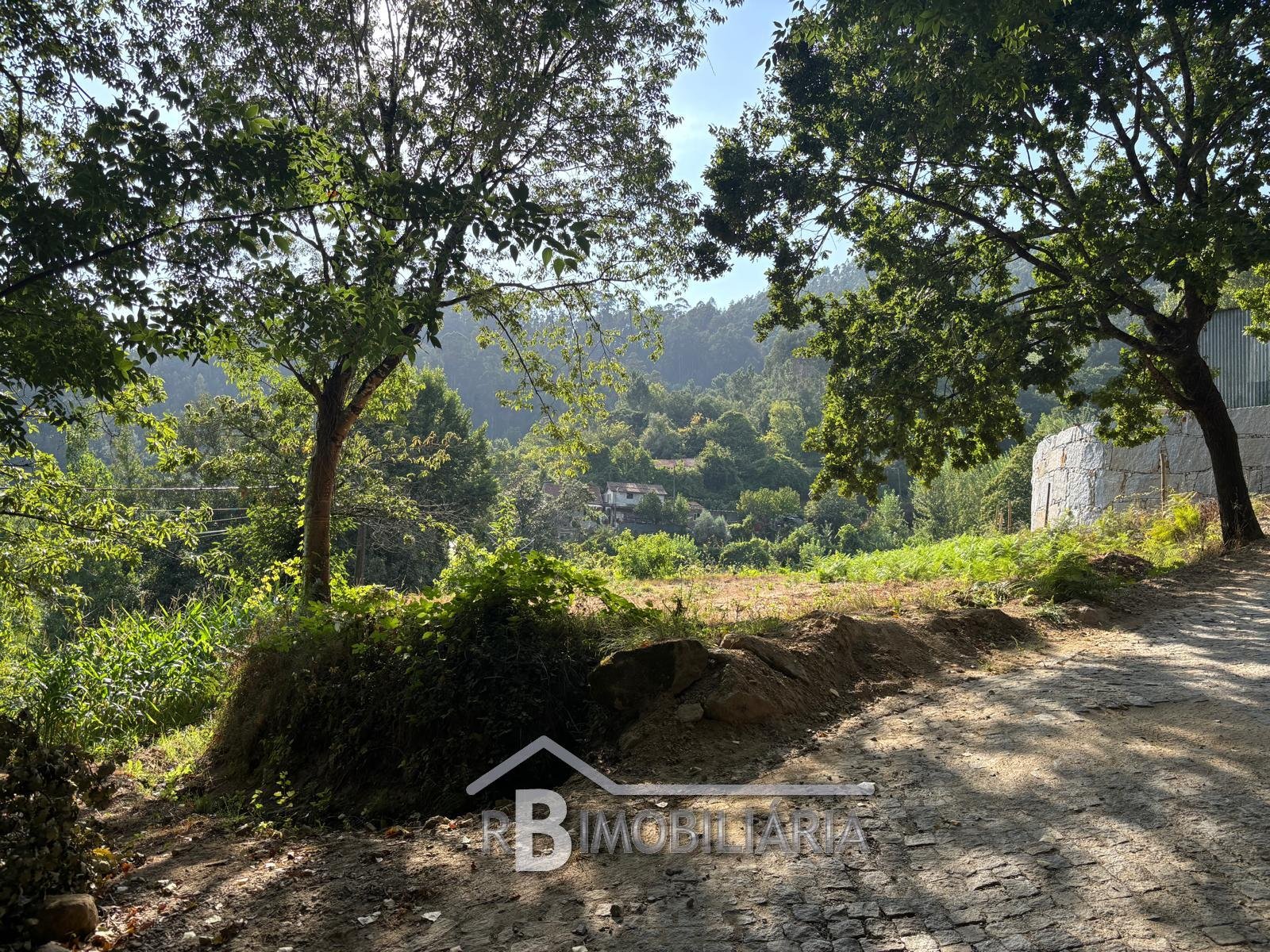 1 Terreno em Rossas – Arouca