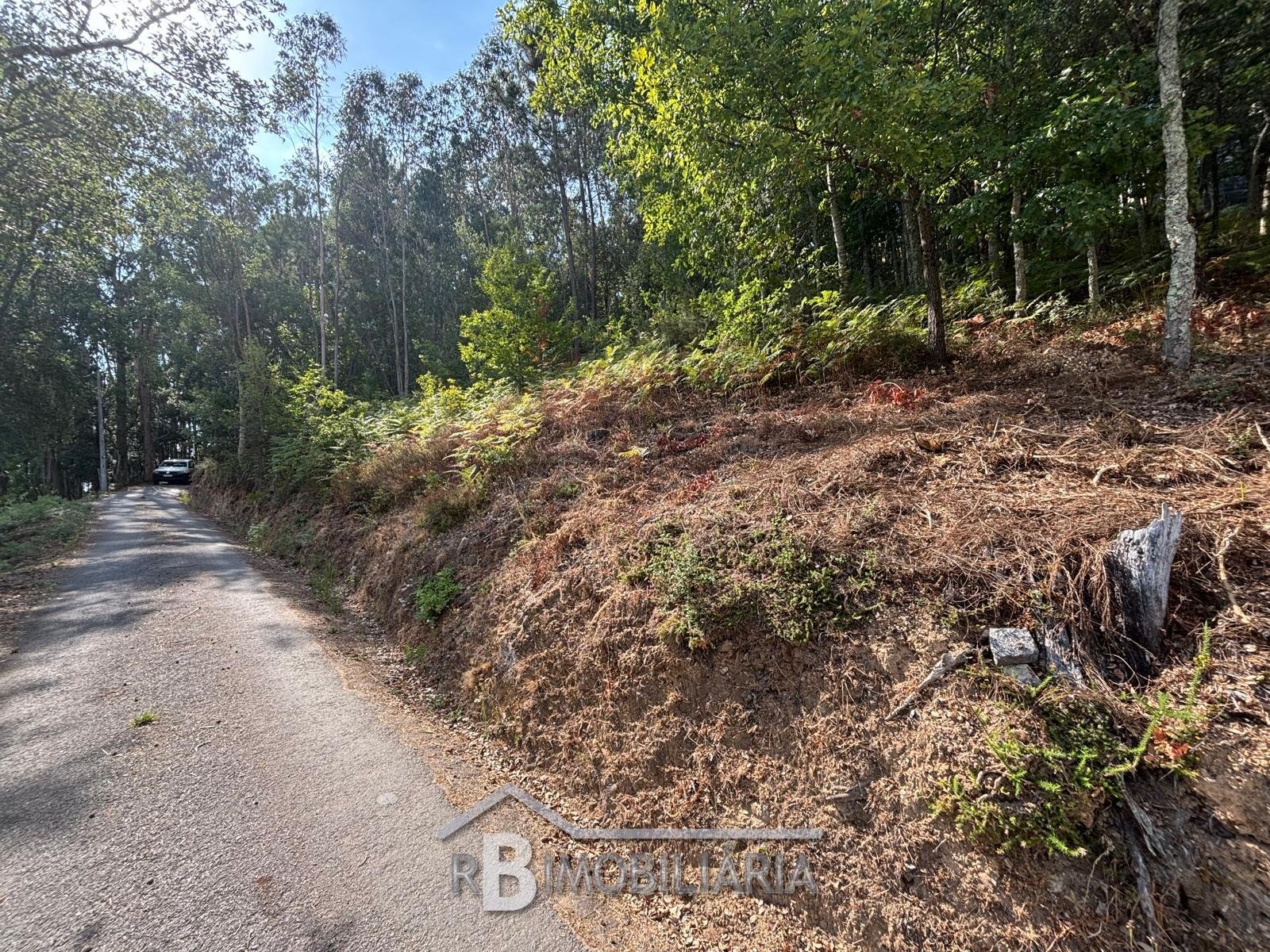 Terreno para Construção – Baladia, Rossas