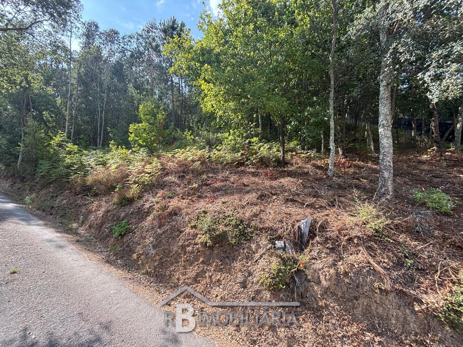Terreno para Construção – Baladia, Rossas