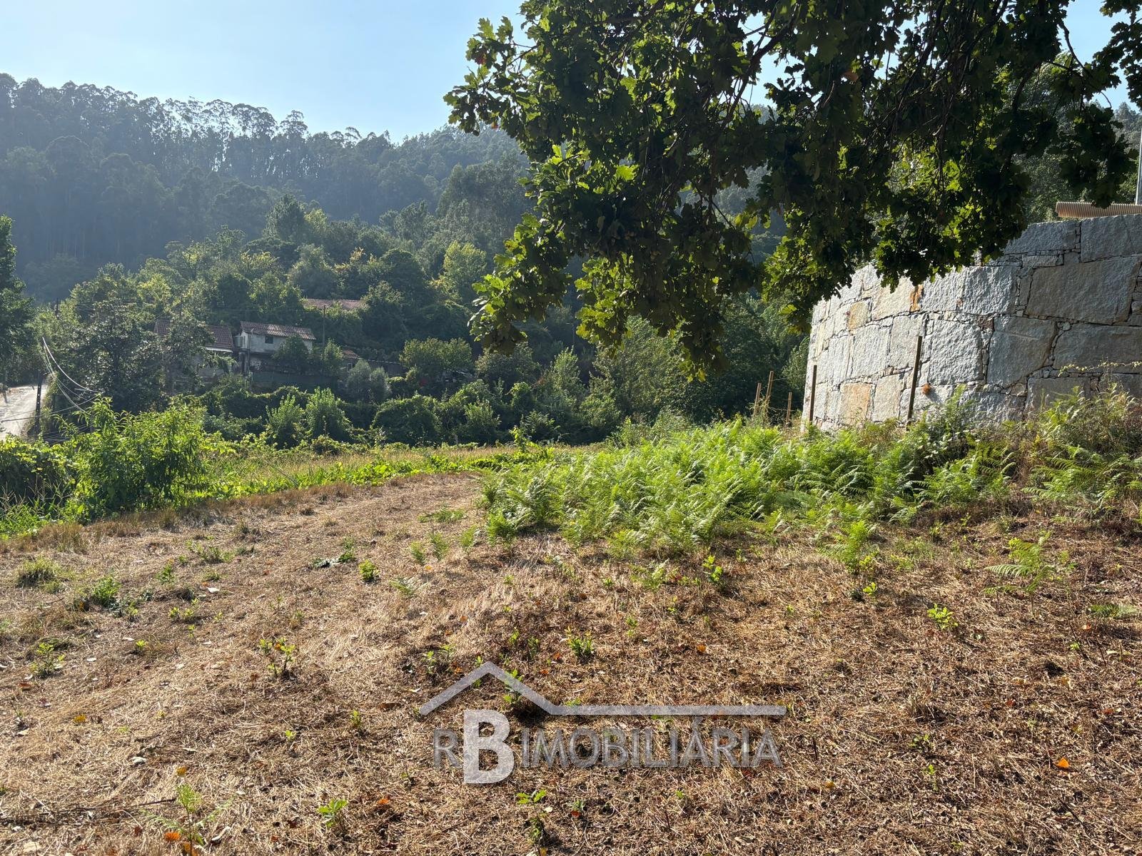 Terreno em Rossas – Arouca