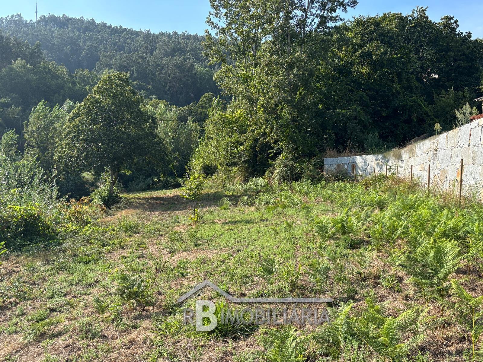 Terreno em Rossas – Arouca