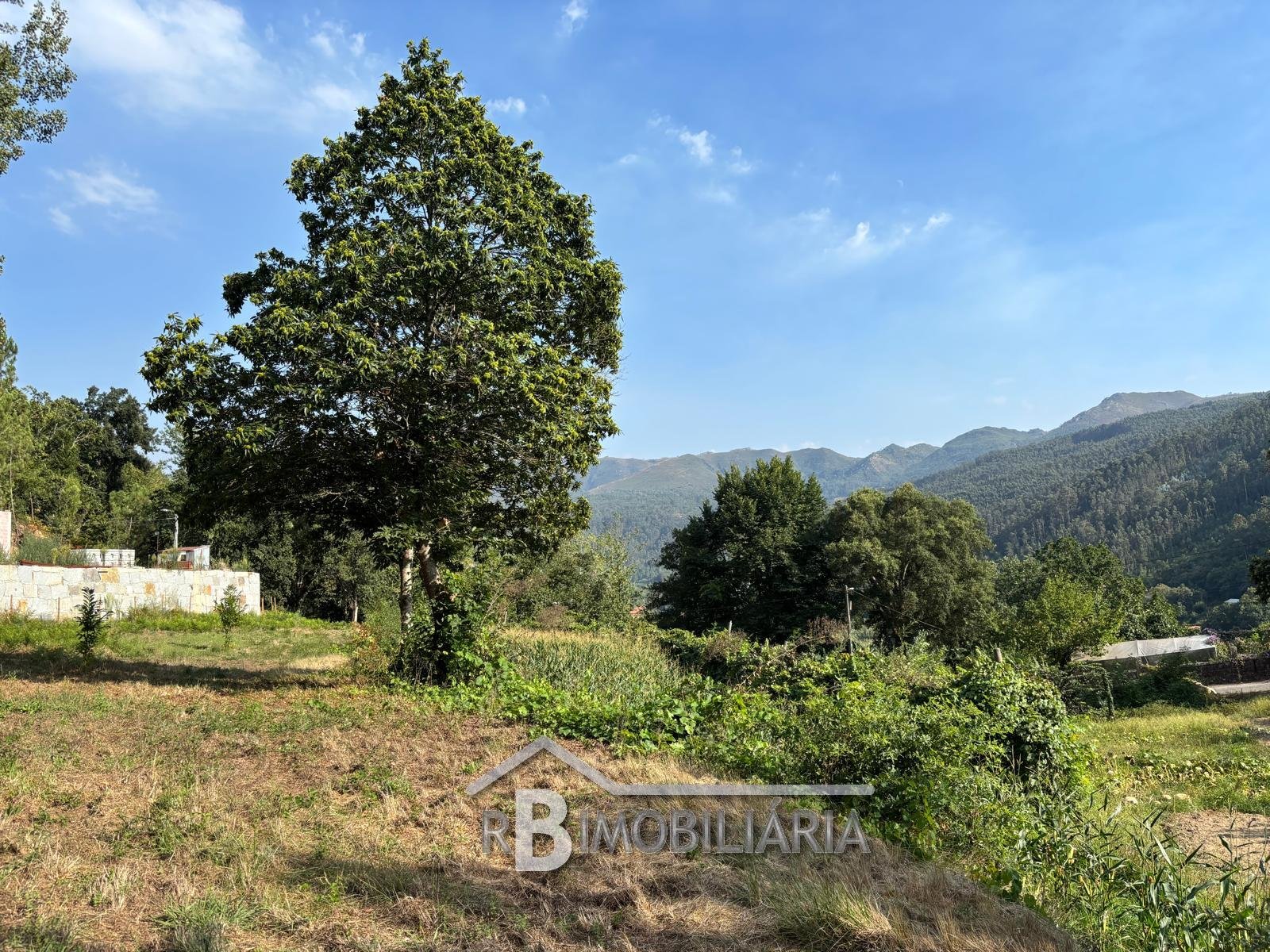 Terreno em Rossas – Arouca