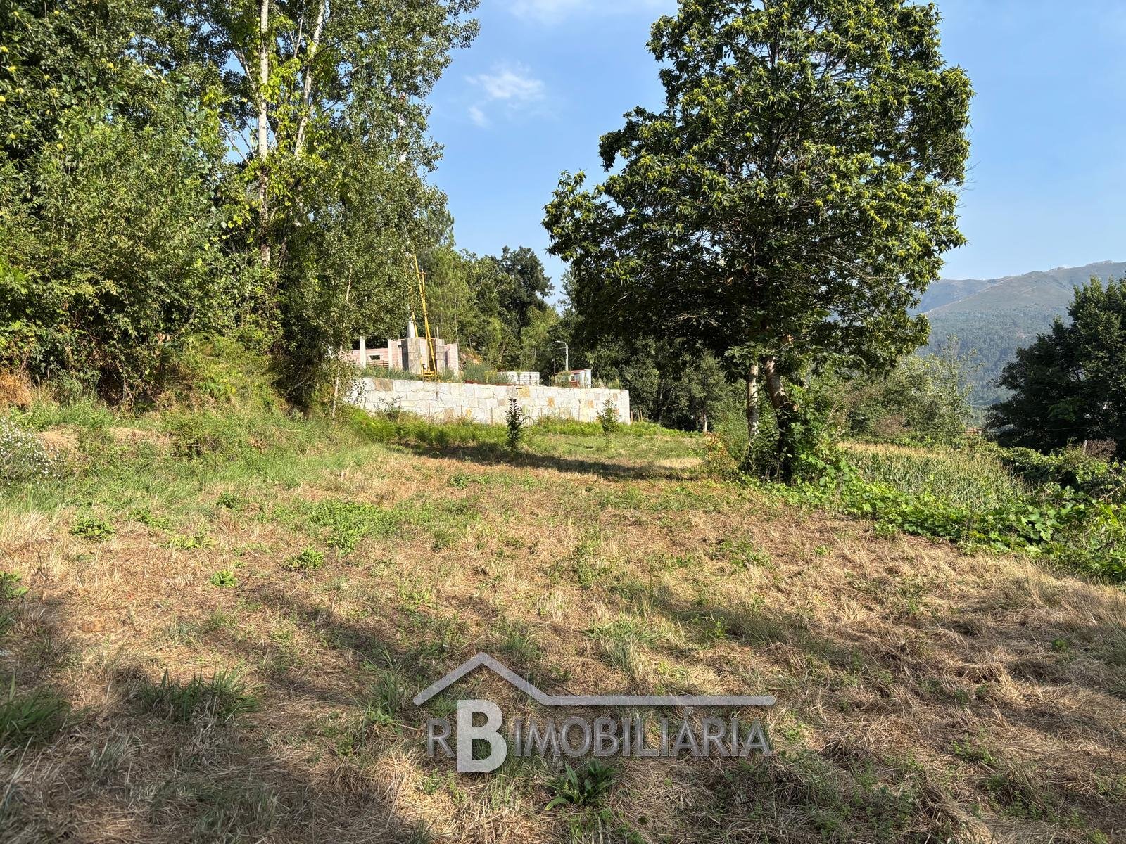 Terreno em Rossas – Arouca