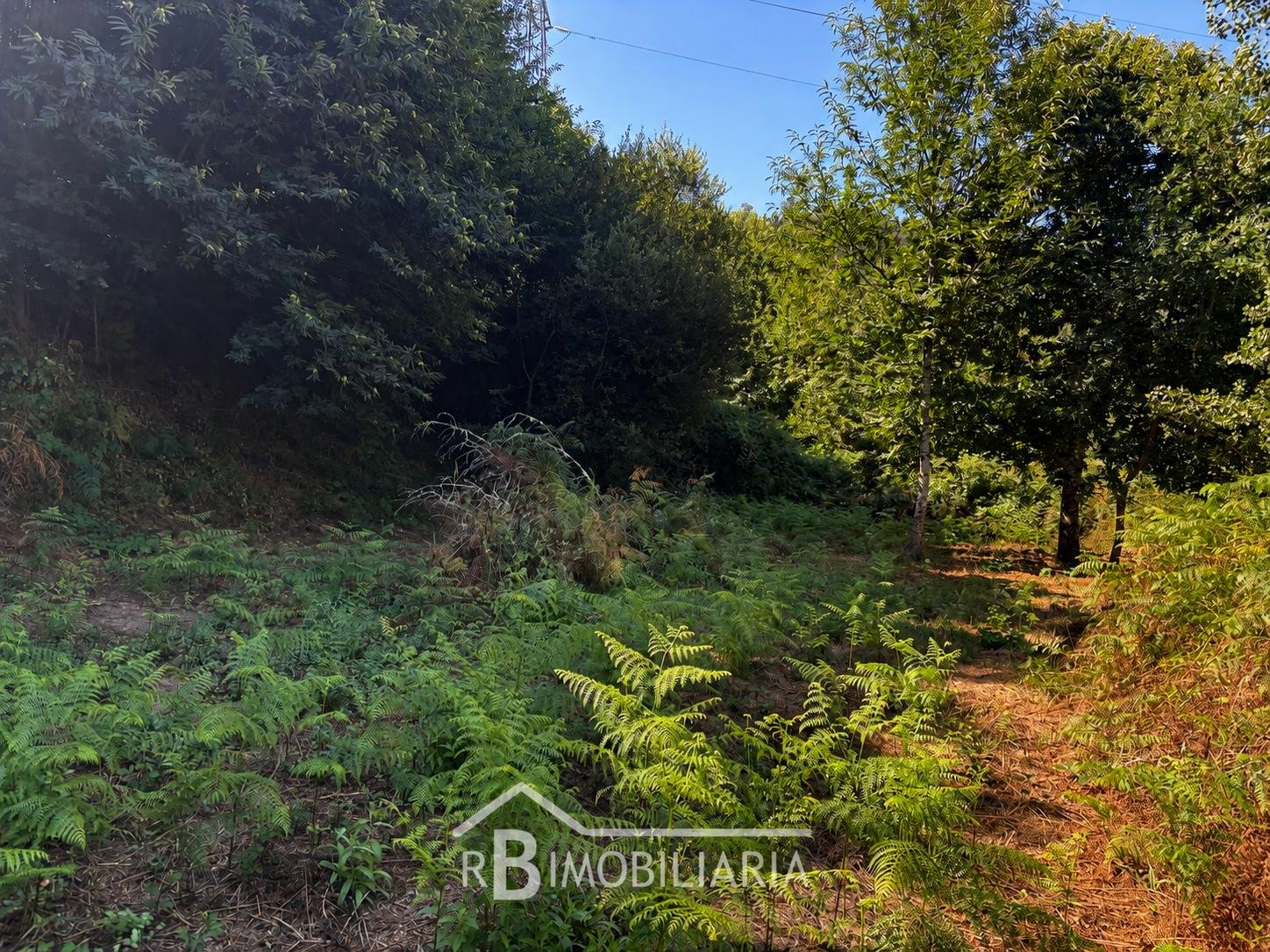 Moradia em Ruínas e Terreno com Projeto Aprovado – Urrô