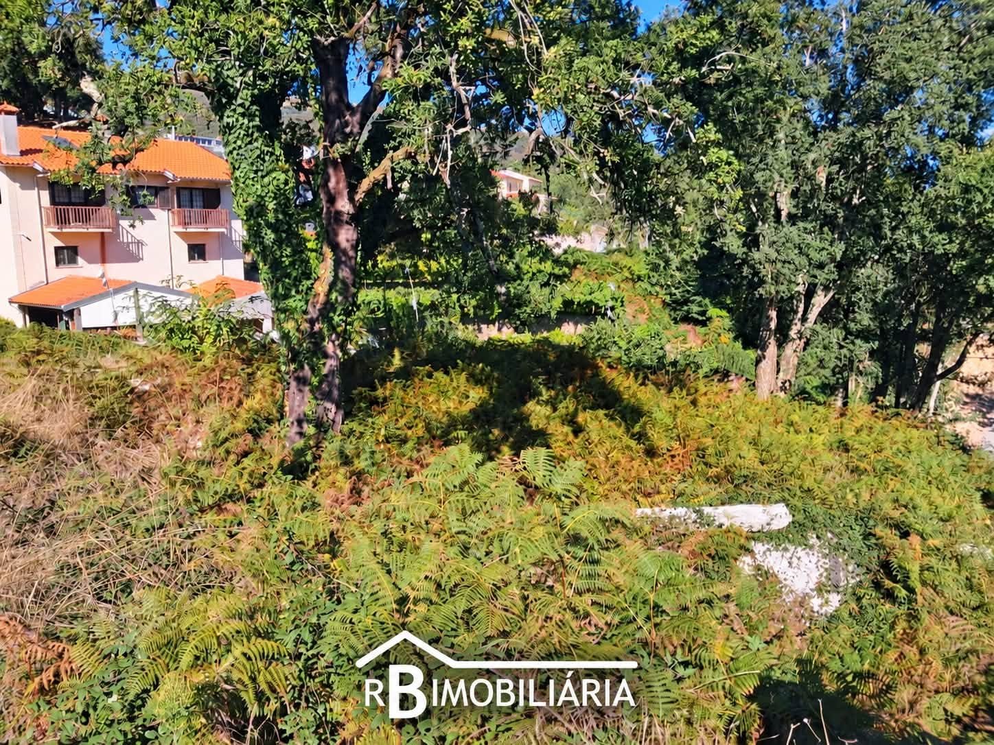 Terreno para construção – Portela, Moldes, Arouca