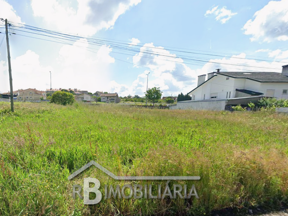 Três Lotes de Terreno em Oiã – Oliveira do Bairro